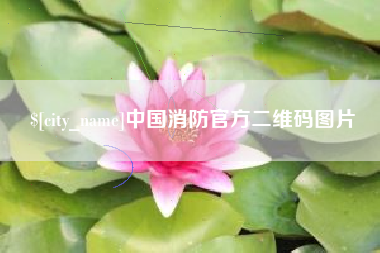 葫芦岛中国消防官方二维码图片