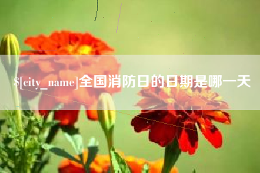 葫芦岛全国消防日的日期是哪一天