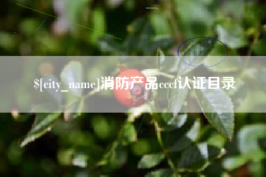 葫芦岛消防产品cccf认证目录