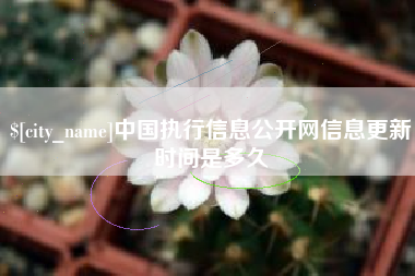 葫芦岛中国执行信息公开网信息更新时间是多久