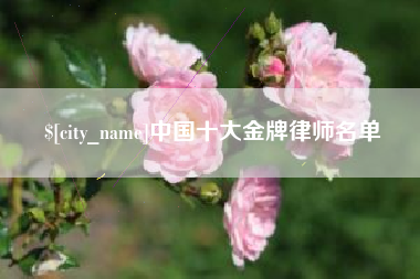 葫芦岛中国十大金牌律师名单
