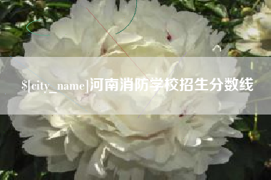葫芦岛河南消防学校招生分数线