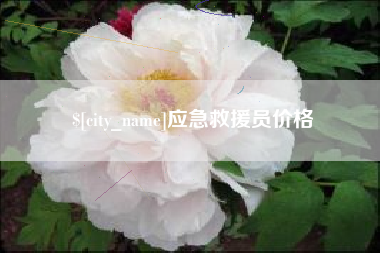 葫芦岛应急救援员价格