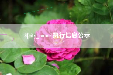 葫芦岛执行信息公示