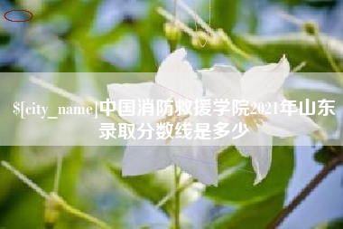葫芦岛中国消防救援学院2021年山东录取分数线是多少