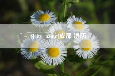 葫芦岛成都 消防