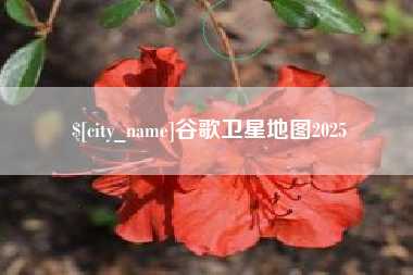 葫芦岛谷歌卫星地图2025