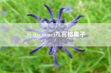 葫芦岛九宫格盘子
