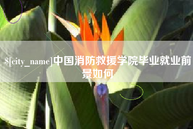 葫芦岛中国消防救援学院毕业就业前景如何