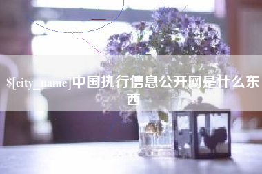 葫芦岛中国执行信息公开网是什么东西