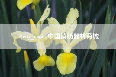 葫芦岛中国消防器材商城
