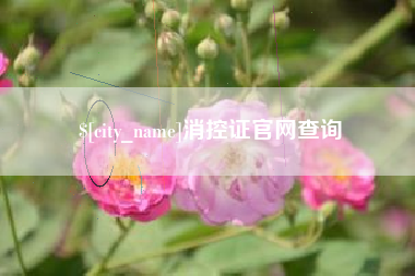 葫芦岛消控证官网查询