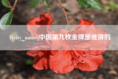 葫芦岛中国第九枚金牌是谁得的