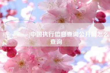 葫芦岛中国执行信息查询公开网怎么查询