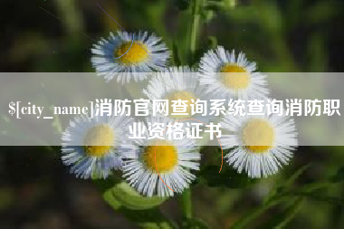葫芦岛消防官网查询系统查询消防职业资格证书