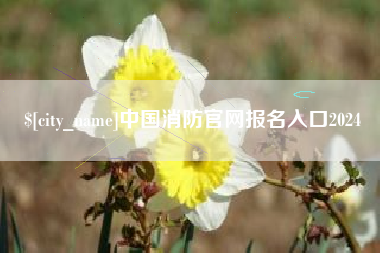 葫芦岛中国消防官网报名入口2024