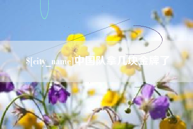 葫芦岛中国队拿几块金牌了