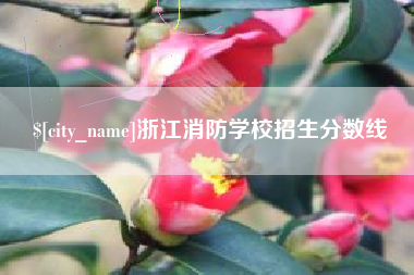 葫芦岛浙江消防学校招生分数线