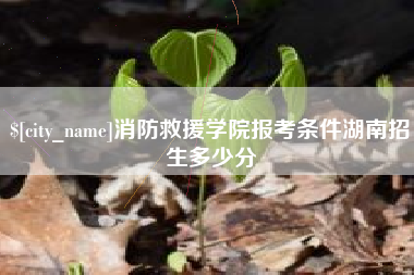 葫芦岛消防救援学院报考条件湖南招生多少分