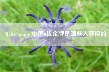 葫芦岛中国6枚金牌是哪些人获得的