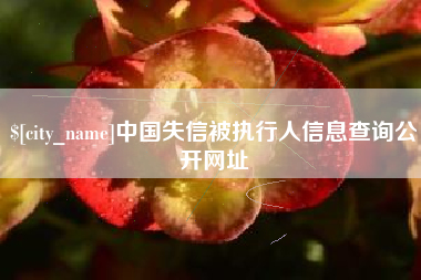 葫芦岛中国失信被执行人信息查询公开网址