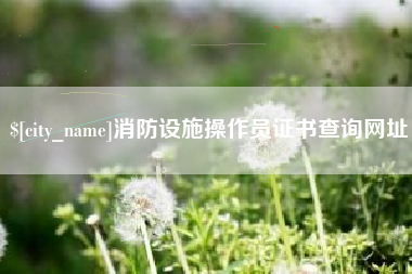 葫芦岛消防设施操作员证书查询网址