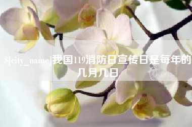 葫芦岛我国119消防日宣传日是每年的几月几日