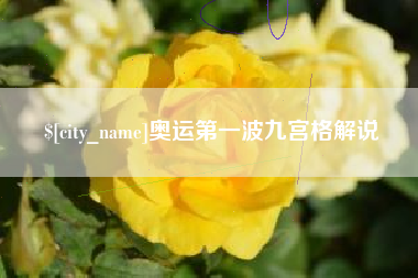 葫芦岛奥运第一波九宫格解说