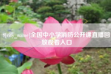 葫芦岛全国中小学消防公开课直播回放观看入口