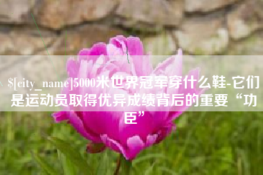 葫芦岛5000米世界冠军穿什么鞋-它们是运动员取得优异成绩背后的重要“功臣”