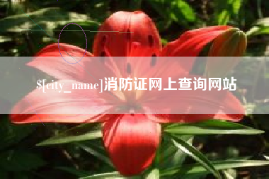 葫芦岛消防证网上查询网站
