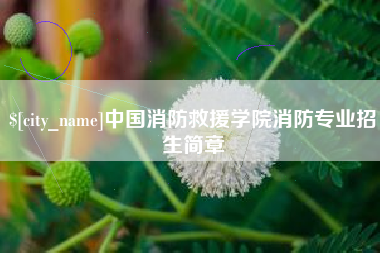 葫芦岛中国消防救援学院消防专业招生简章