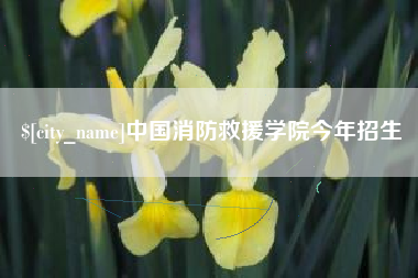 葫芦岛中国消防救援学院今年招生