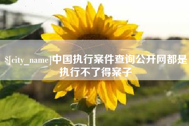 葫芦岛中国执行案件查询公开网都是执行不了得案子