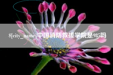 葫芦岛中国消防救援学院是985吗