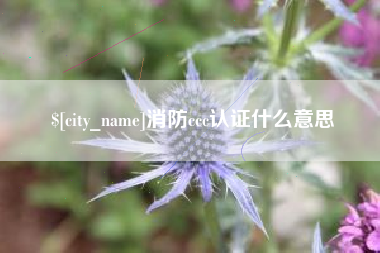 葫芦岛消防ccc认证什么意思