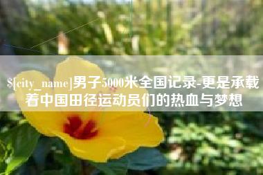 葫芦岛男子5000米全国记录-更是承载着中国田径运动员们的热血与梦想