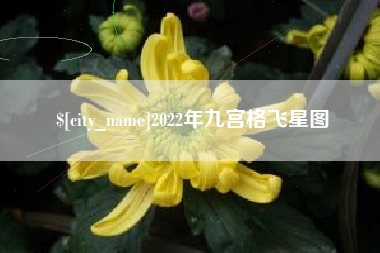 葫芦岛2022年九宫格飞星图