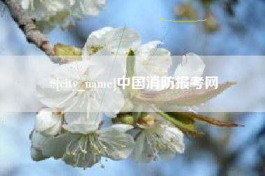 葫芦岛中国消防报考网