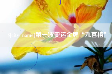 葫芦岛第一波奥运金牌“九宫格”