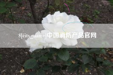 葫芦岛中国消防产品官网