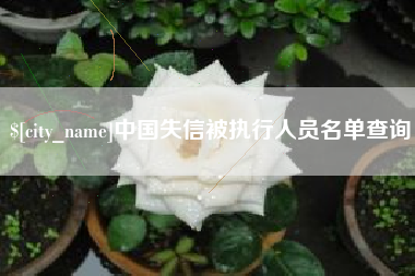 葫芦岛中国失信被执行人员名单查询