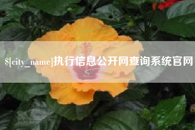 葫芦岛执行信息公开网查询系统官网