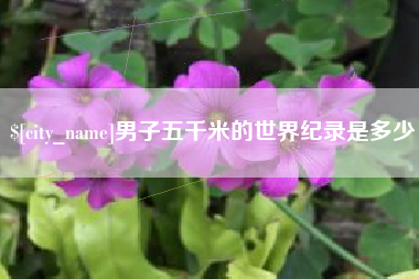葫芦岛男子五千米的世界纪录是多少
