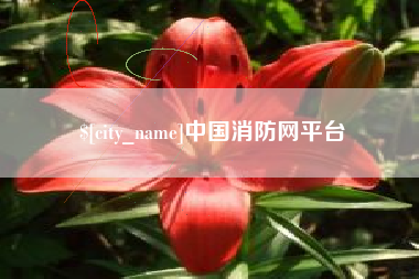葫芦岛中国消防网平台