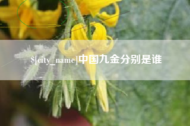 葫芦岛中国九金分别是谁