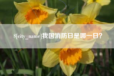 葫芦岛我国消防日是哪一日？