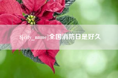 葫芦岛全国消防日是好久