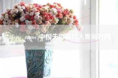 葫芦岛中国失信执行人查询官网
