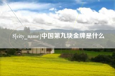 葫芦岛中国第九块金牌是什么